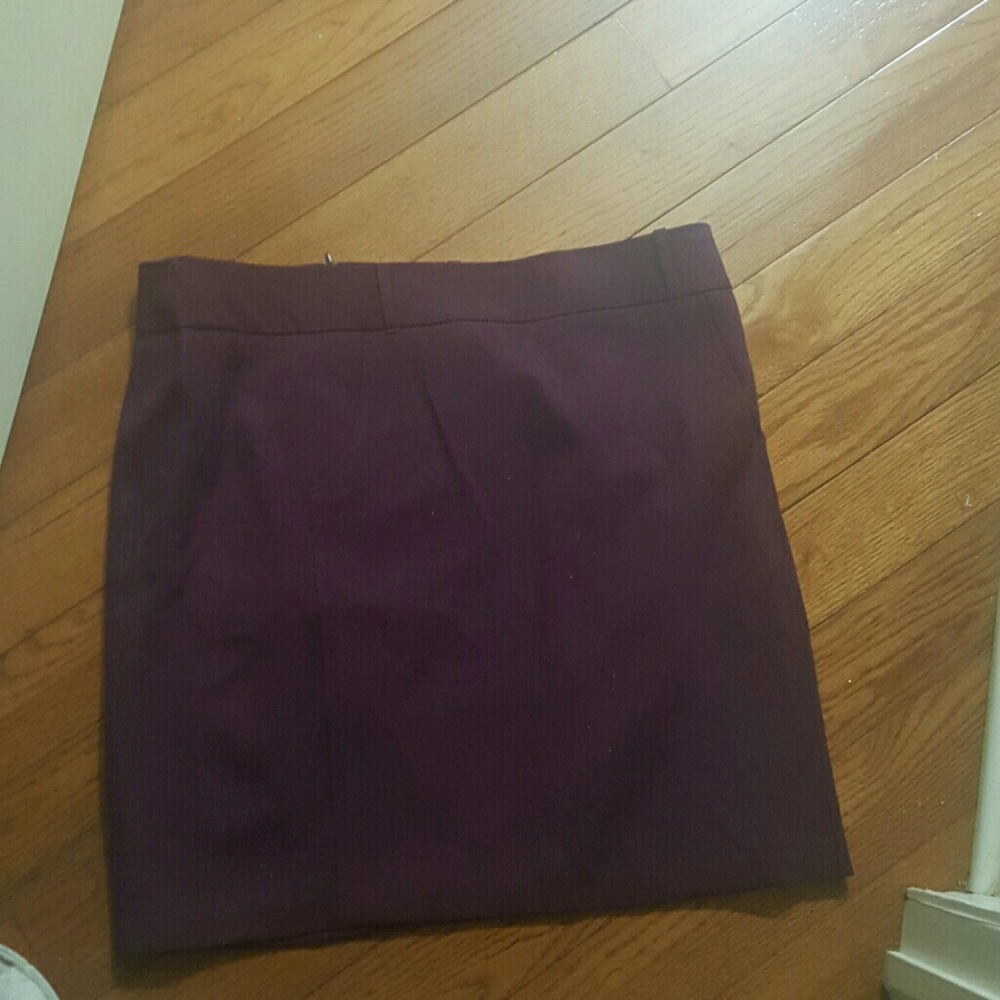 NWT SKIRT
