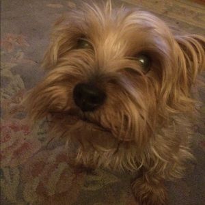 Meet your Posher, Rhonda