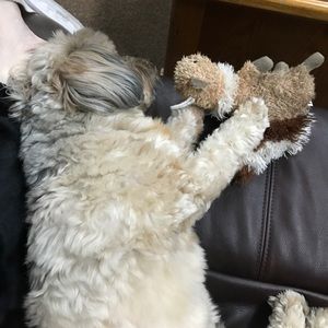 Meet your Posher, Mary