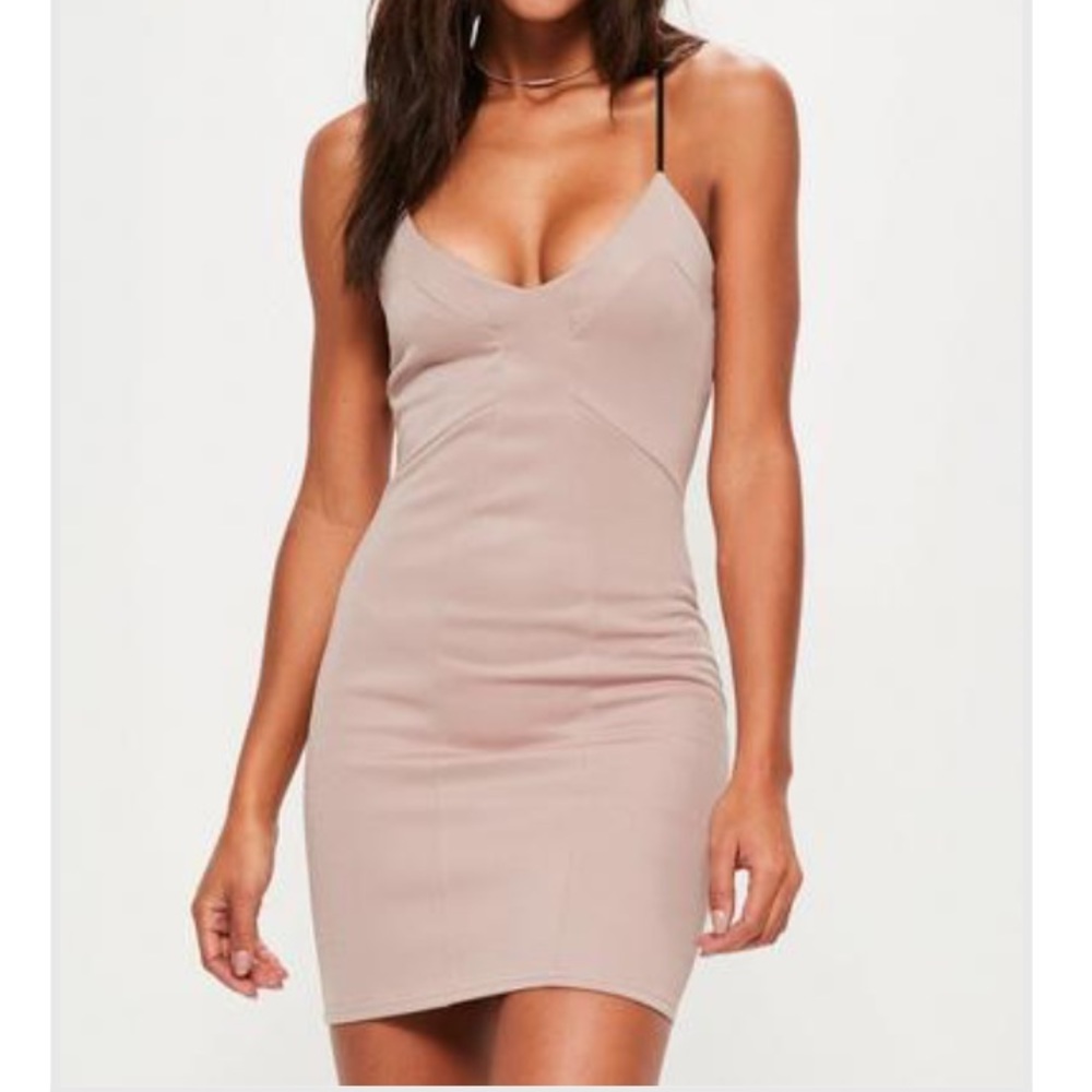 Blush Bodycan Dress