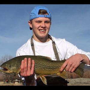 Meet your Posher, Hunter