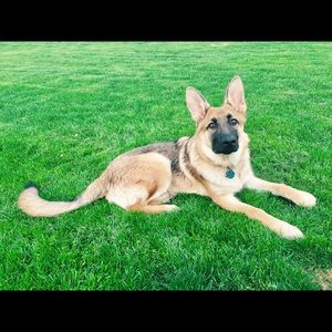 Meet your Posher, Mike