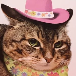 Meet your Posher, Patti