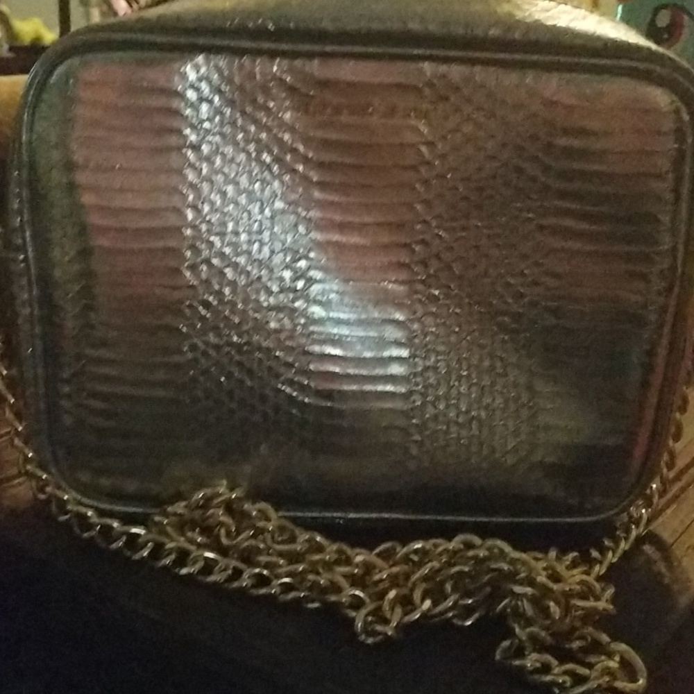 Small silver cross body purse.