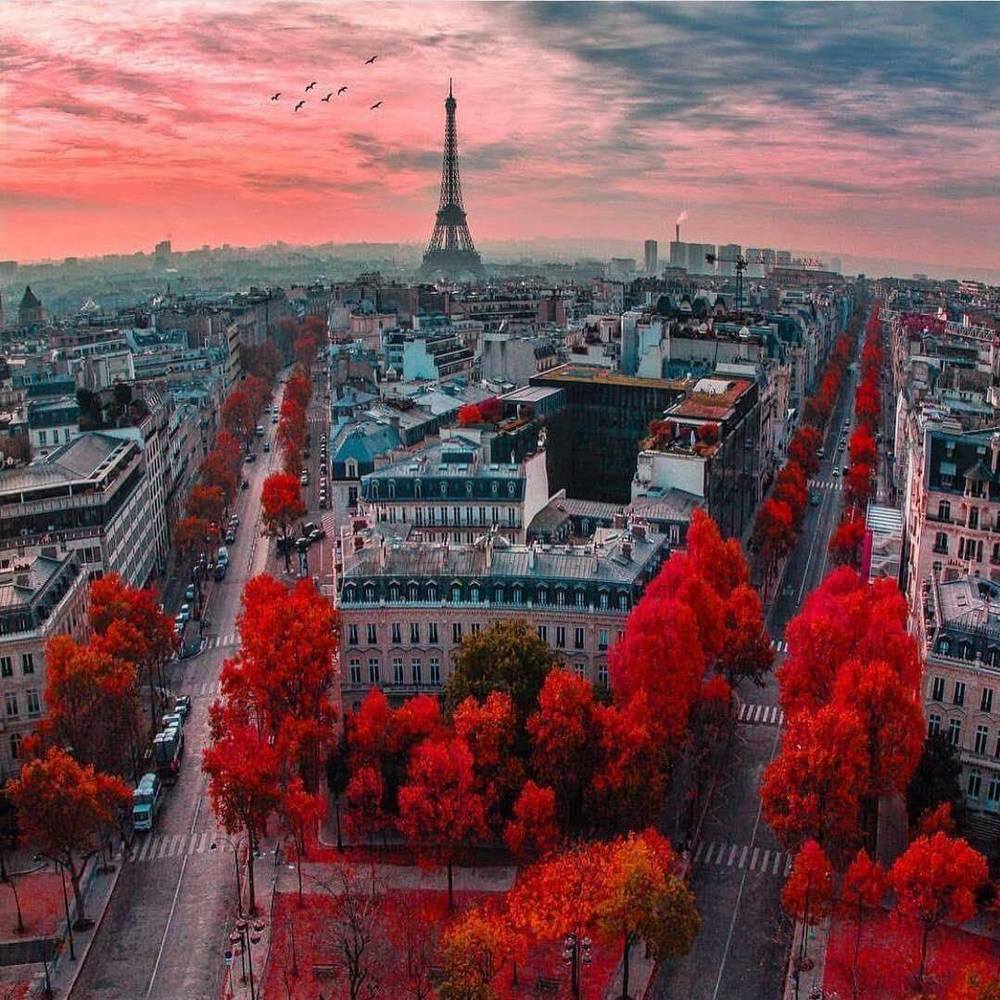 Meet your Posher, Suzanne