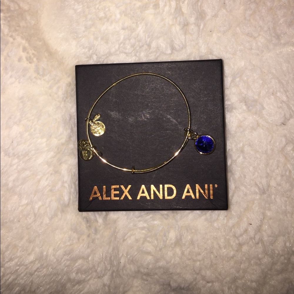 Alex and Ani Bracelet
