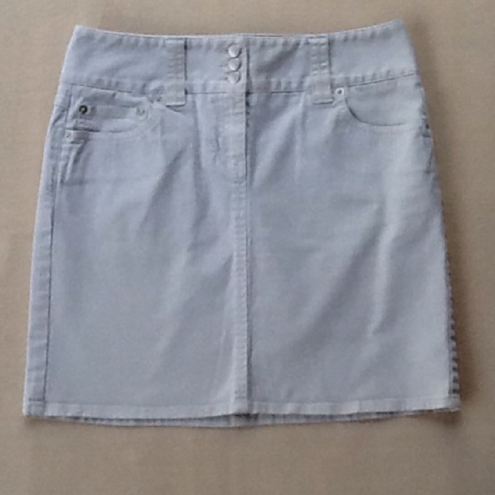 ANNE TAYLOR LOFT SKIRT