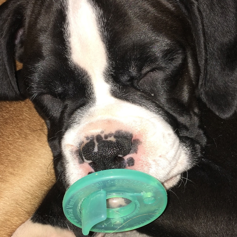 Meet your Posher, Elayne