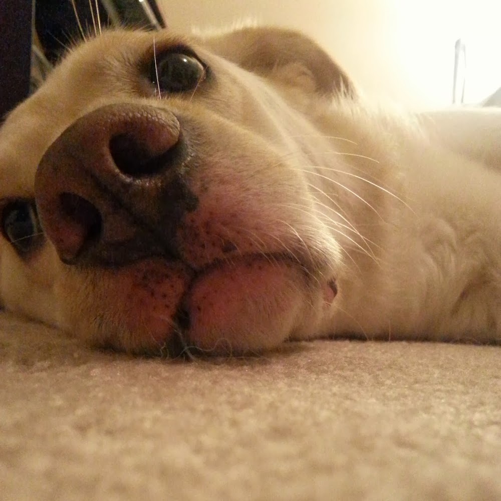 Meet your Posher, Stephanie