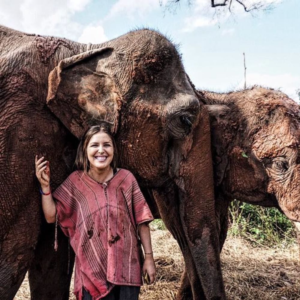 Meet your Posher, Taylor