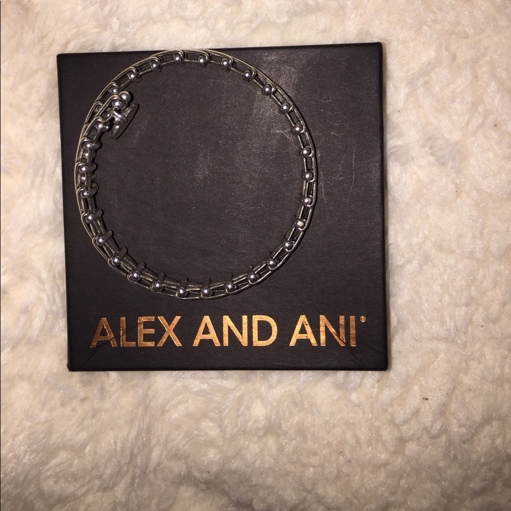 Alex and Ani bracelet