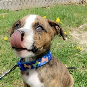 Meet your Posher, Tracy