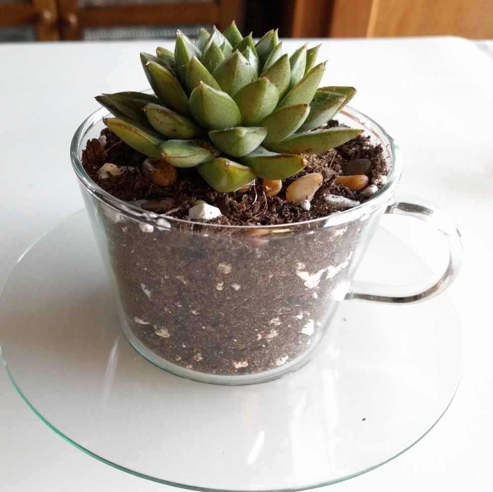 Meet your Posher, August