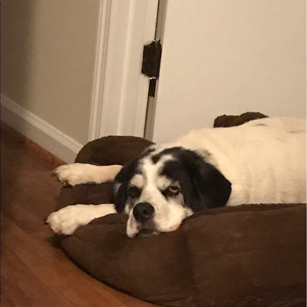 Meet your Posher, Michele