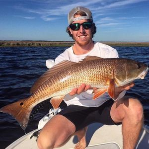 Meet your Posher, Justin