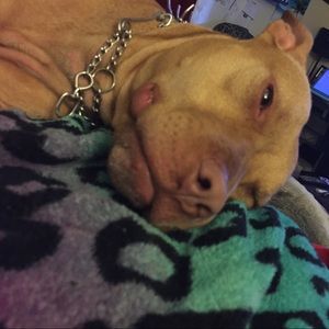 Meet your Posher, Phil