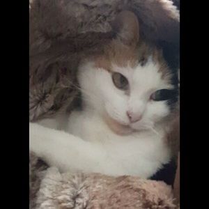 Meet your Posher, Martha