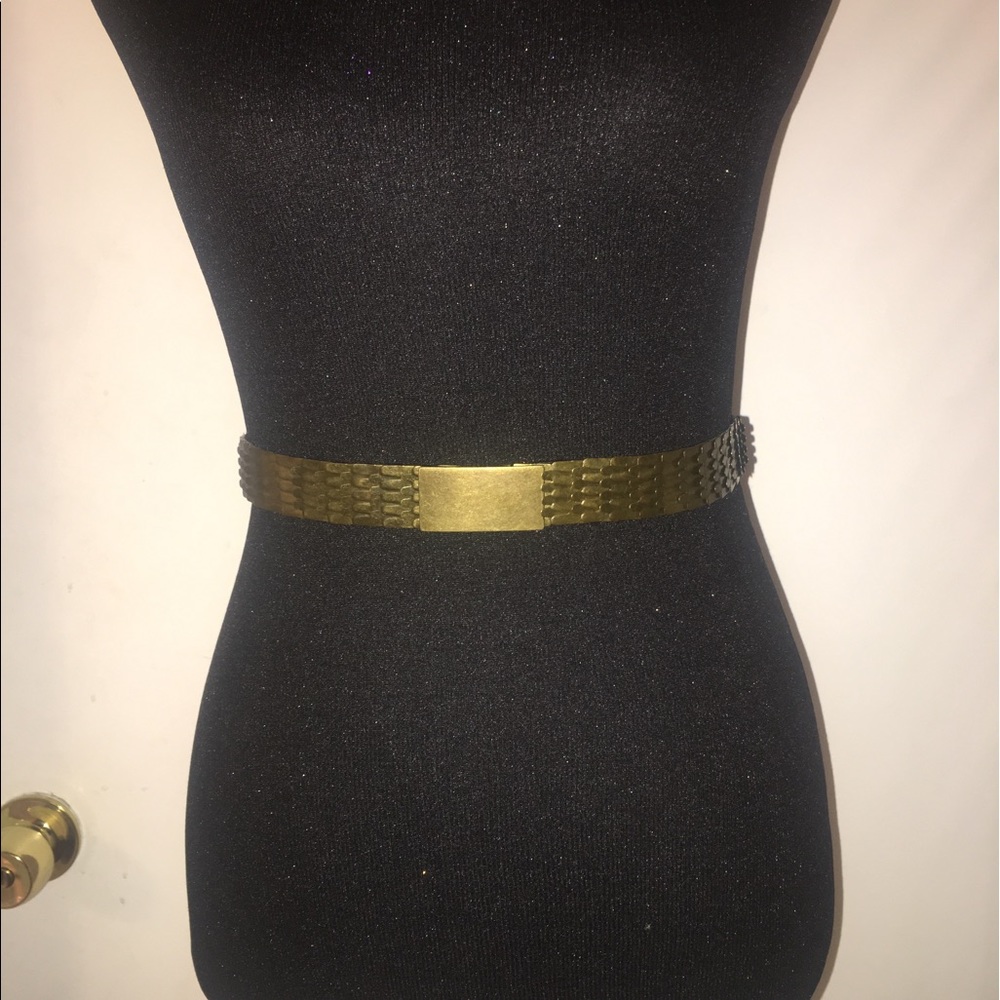 Scale waist belt