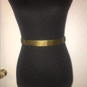Scale waist belt