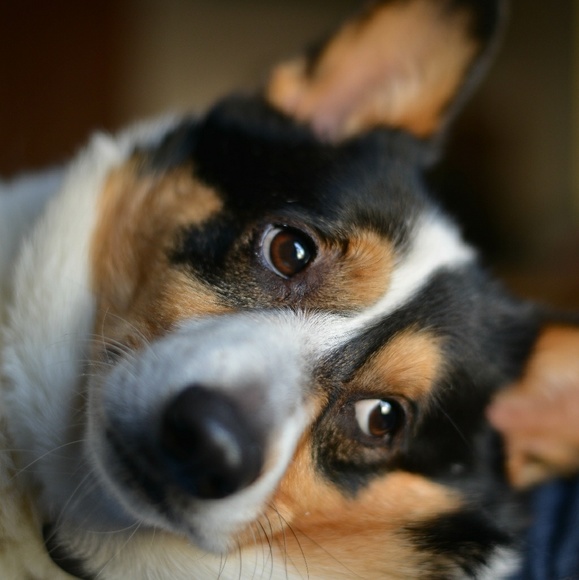 Meet your Posher, Jamie - Picture 2 of 4