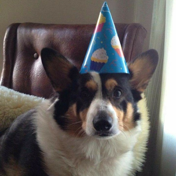 Meet your Posher, Jamie - Picture 3 of 4