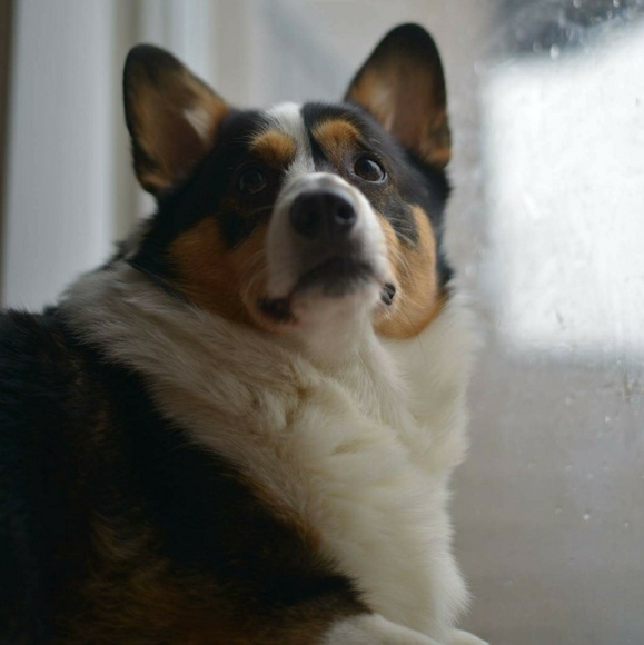 Meet your Posher, Jamie - Picture 4 of 4