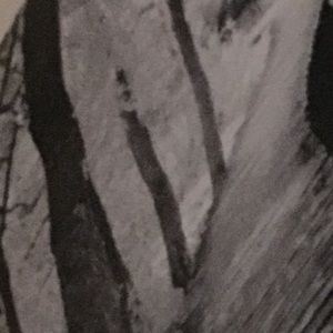 Meet your Posher, Johnny