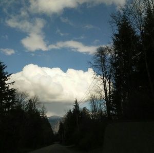 Meet your Posher, Stella