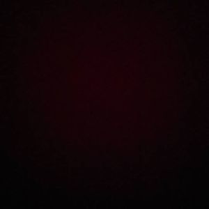 Meet your Posher, Martin