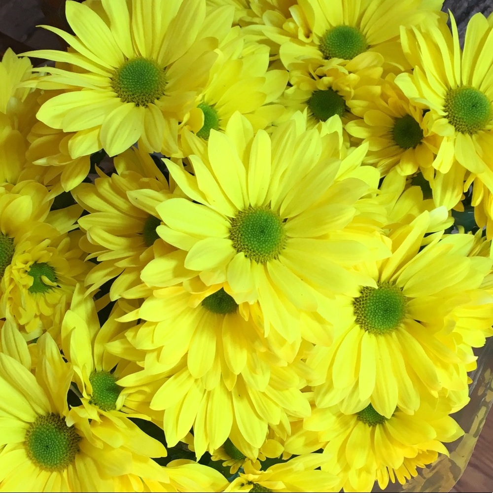 Meet your Posher, Kay