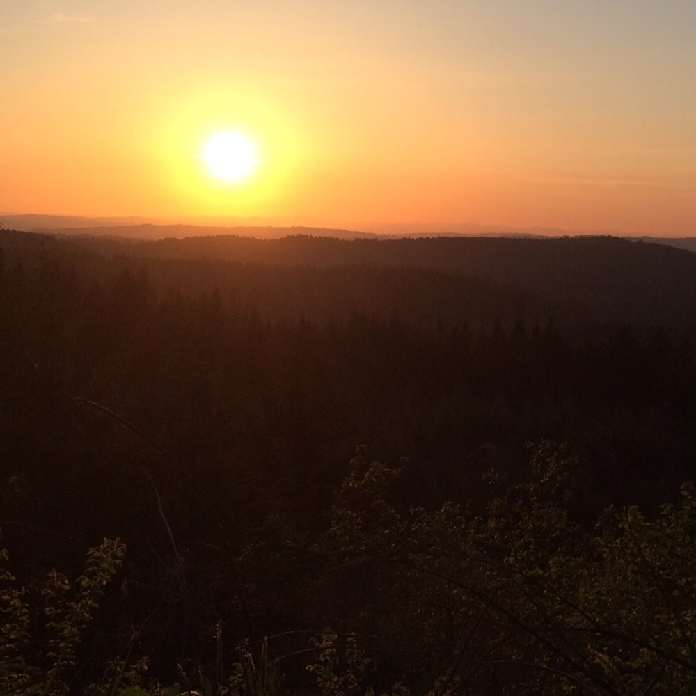 Meet your Posher, Kaylee