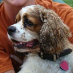 Meet your Posher, Elaine