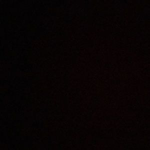 Meet your Posher, Damani