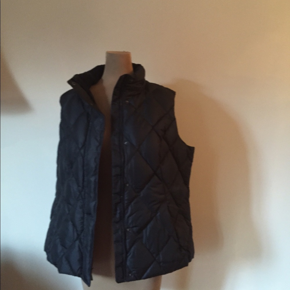 Goose down vest