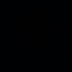 Meet your Posher, Anshella