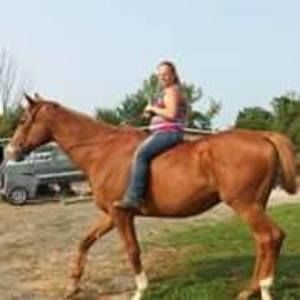 Meet your Posher, Krysti