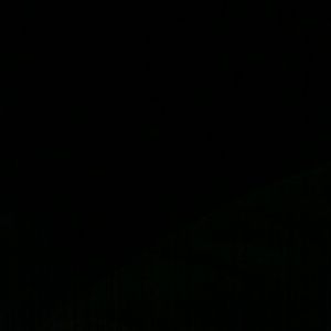 Meet your Posher, Shirley