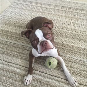 Meet your Posher, Drew