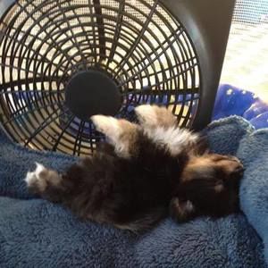 Meet your Posher, Debbie