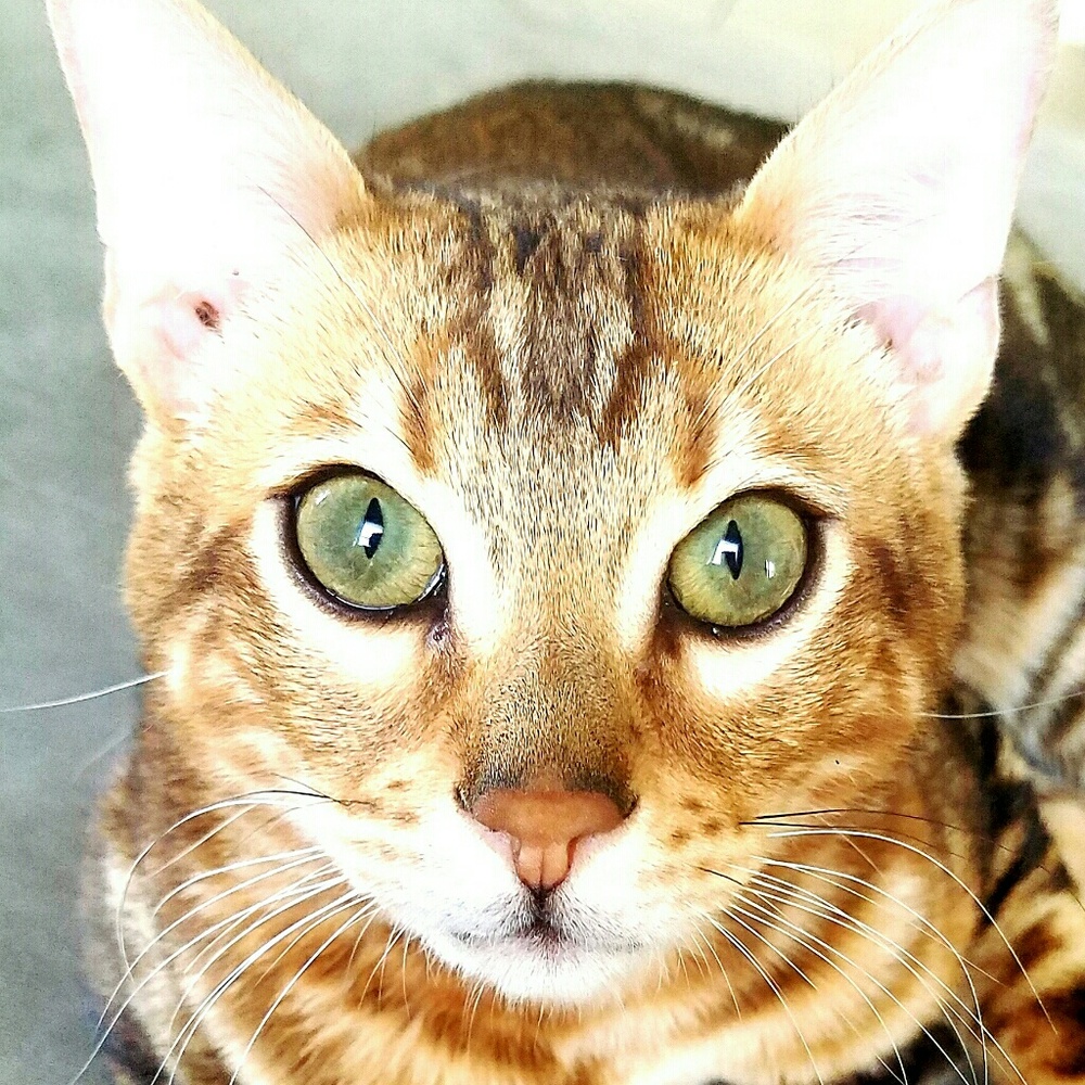 Meet your Posher, Jakki