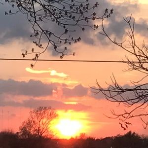 Meet your Posher, Alisha