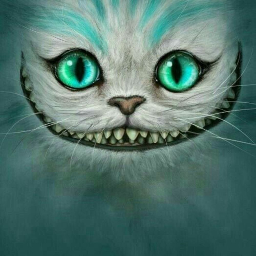 Meet your Posher, Olga