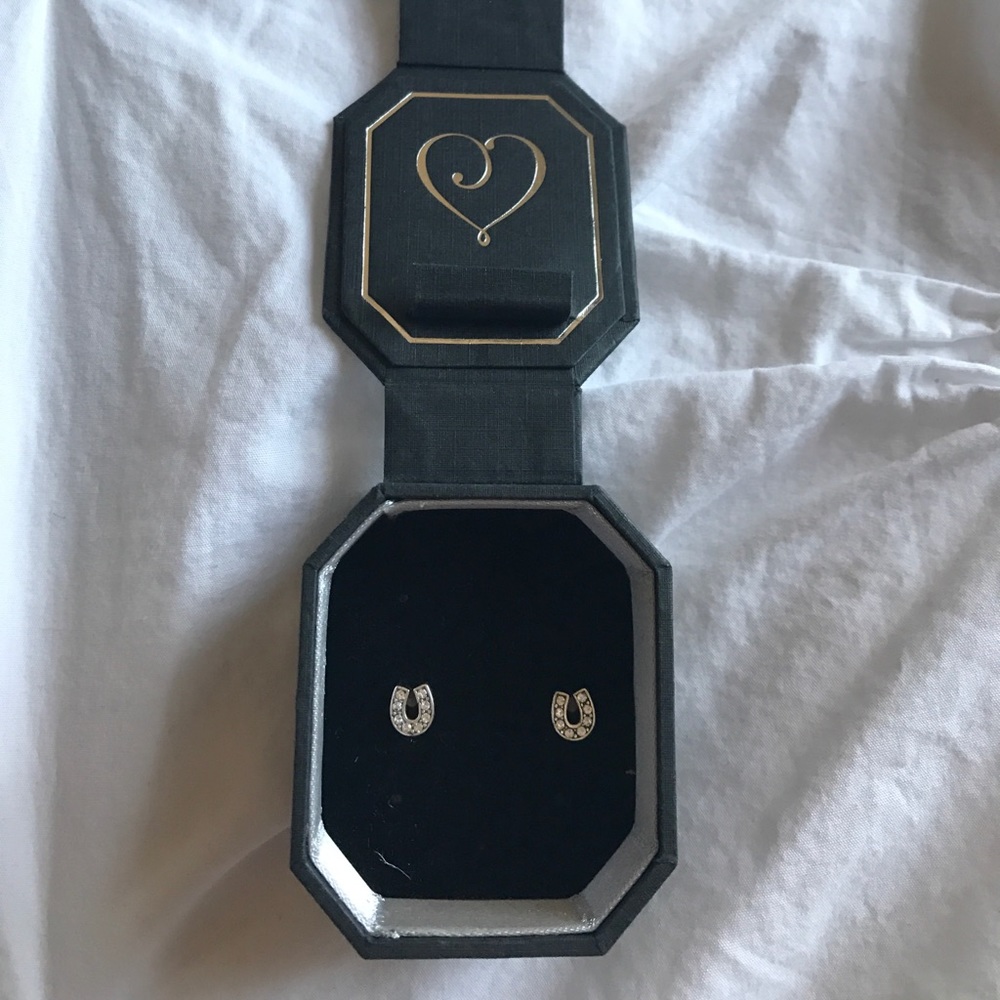 NEW Brighton horseshoe earrings