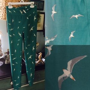 LuLaRoe One Size leggings- sea green with seagulls