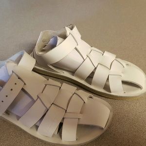 Toddlar san sun sharks