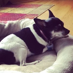 Meet your Posher, Martina