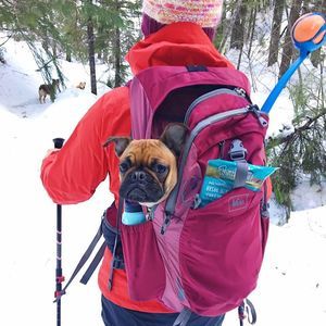 Meet your Posher, Melody