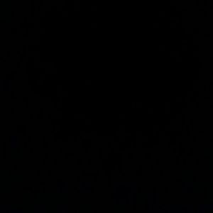 Meet your Posher, Eddy