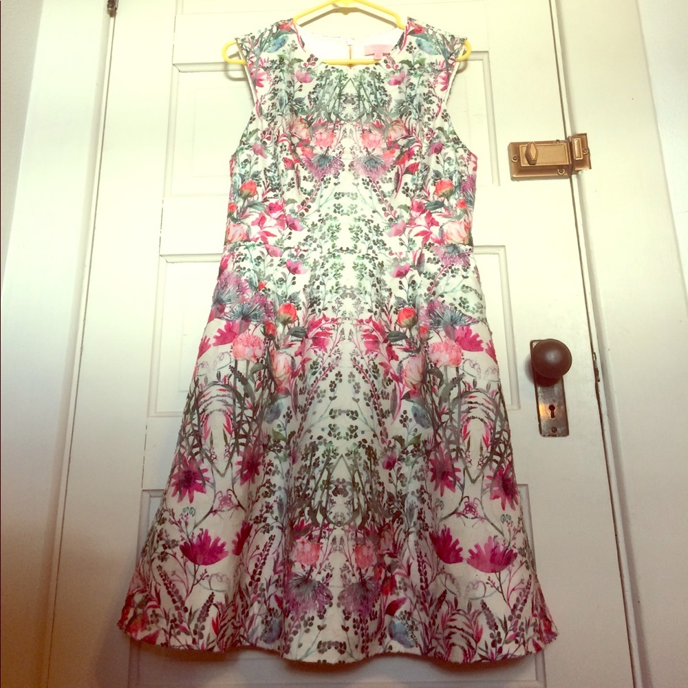 Ted Baker Layered Bouquet Full Skirt Dress -Size 4