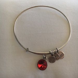 Ruby Birthstone Alex and Ani